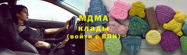 индика Верхний Тагил